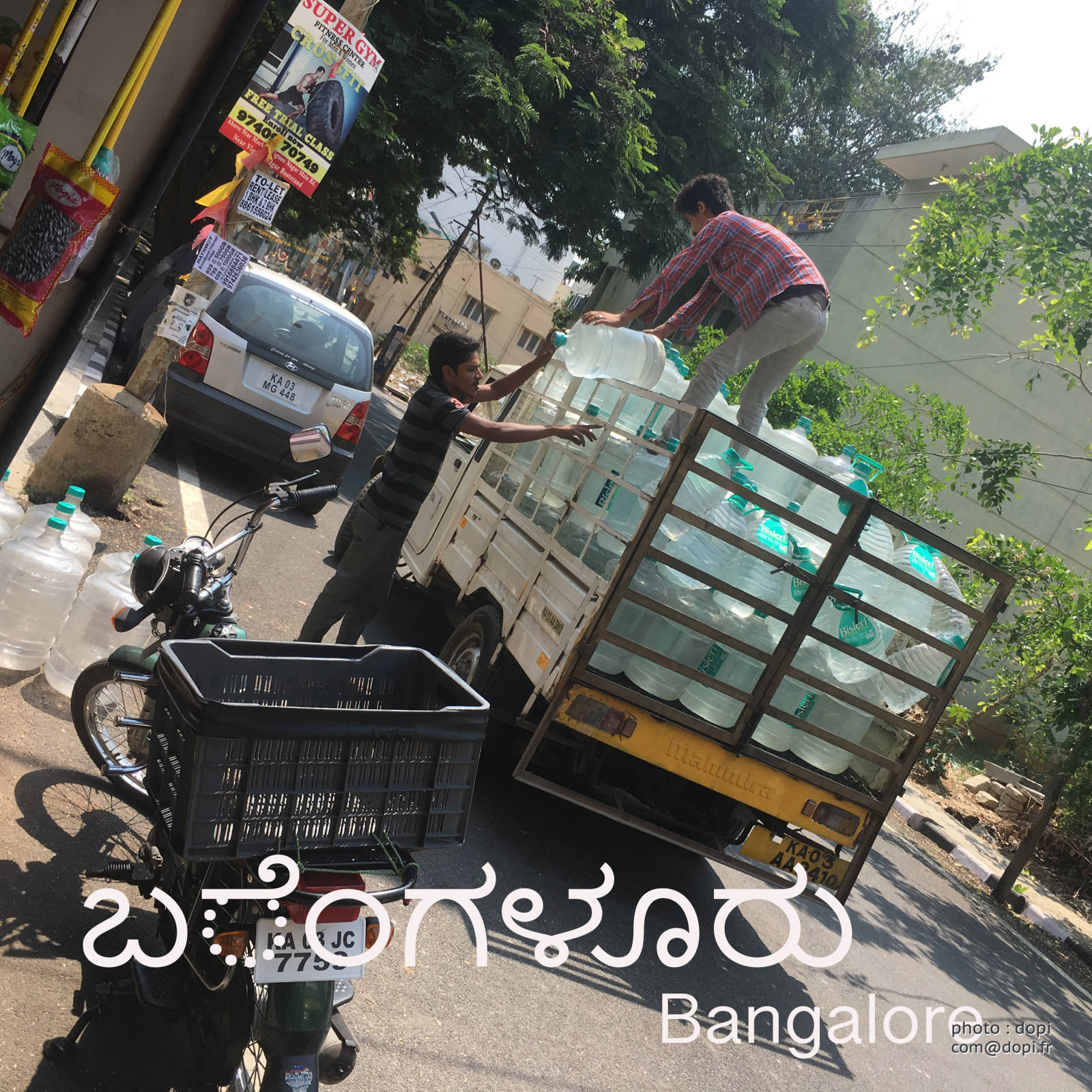 IMG 1544 1,medium large.2x.1522660206