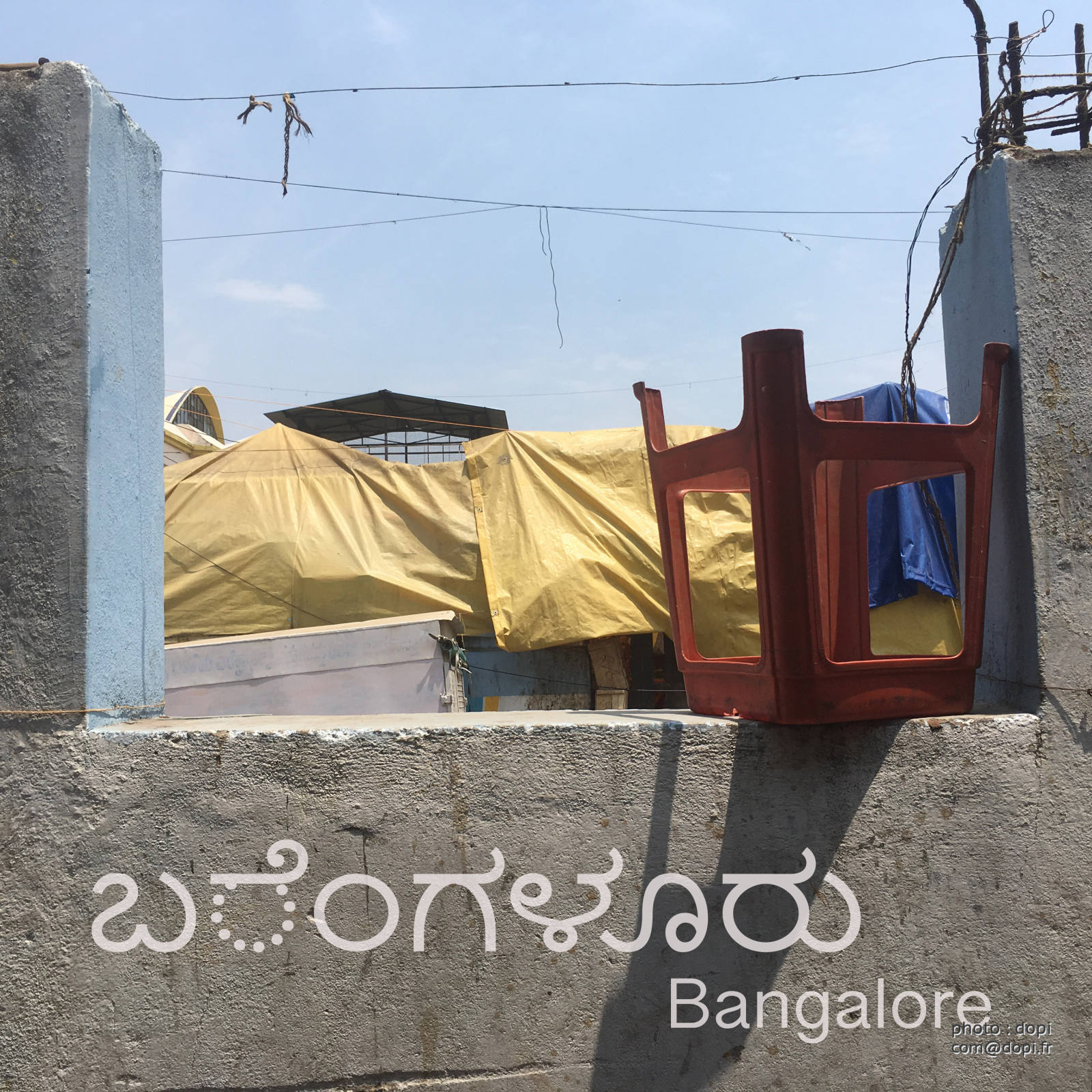 IMG 1622 1,medium large.2x.1522660271