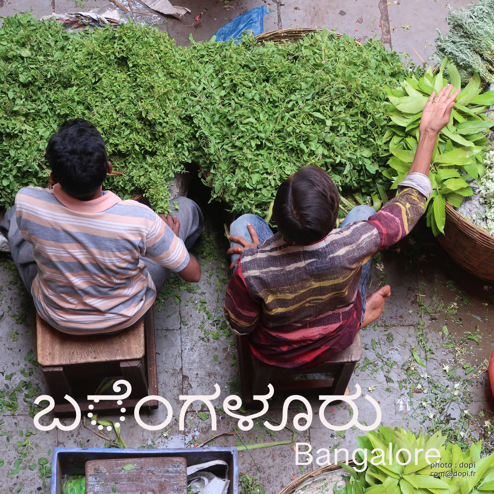 IMG 3083,medium large.2x.1522660344