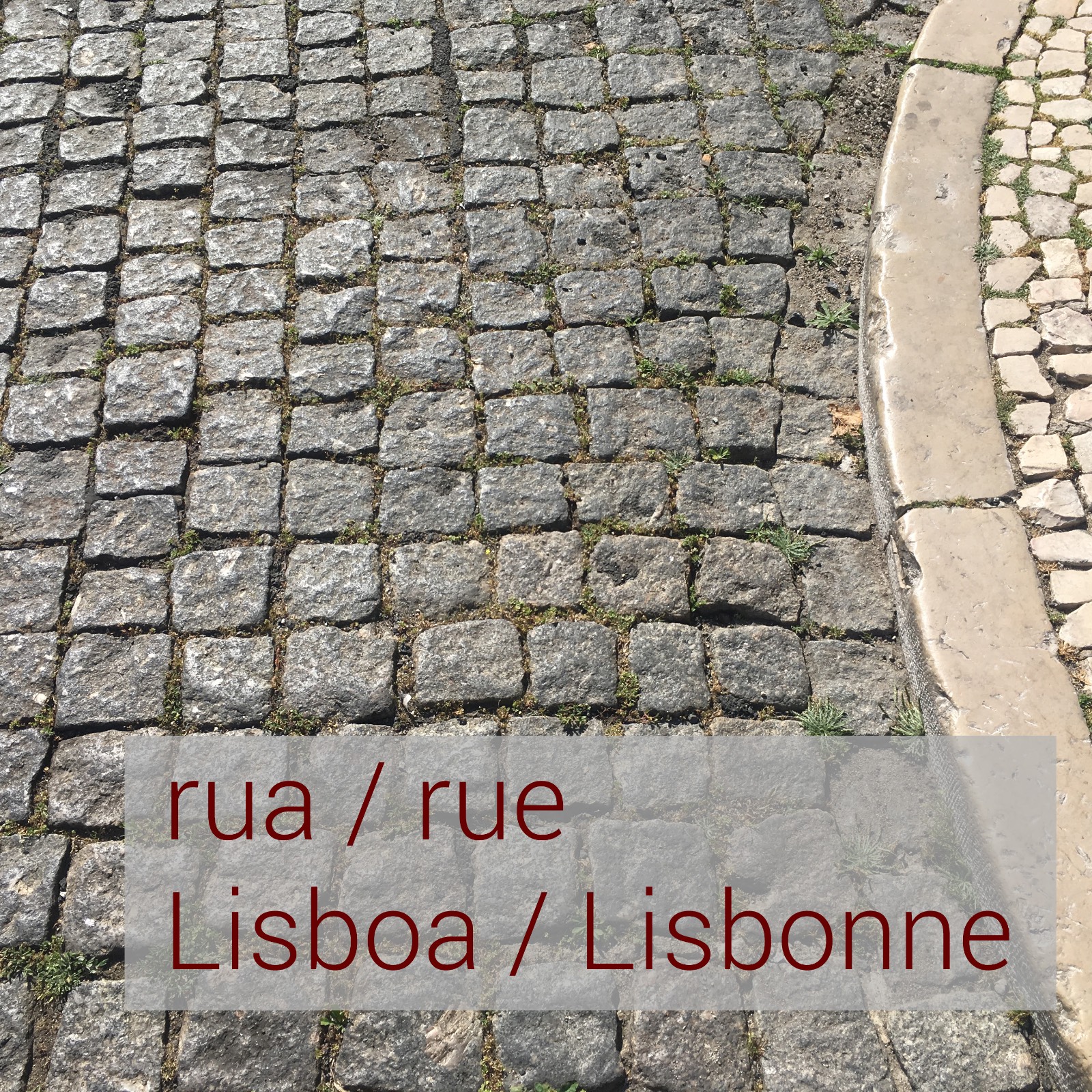 Lisbonnee rue IMG 4631red